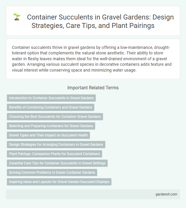 Container Succulents in Gravel Gardens: Design Strategies, Care Tips, and Plant Pairings