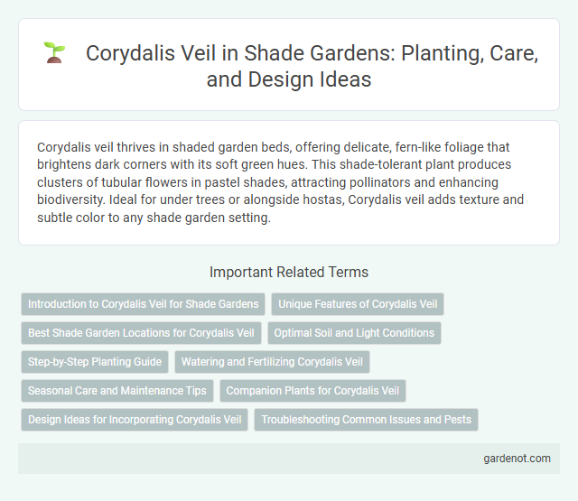 Corydalis Veil in Shade Gardens: Planting, Care, and Design Ideas