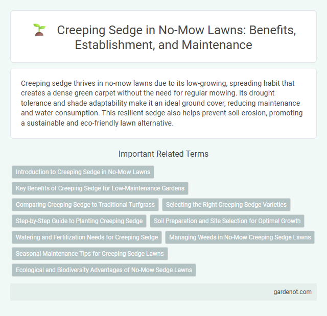 Creeping Sedge in No-Mow Lawns: Benefits, Establishment, and Maintenance