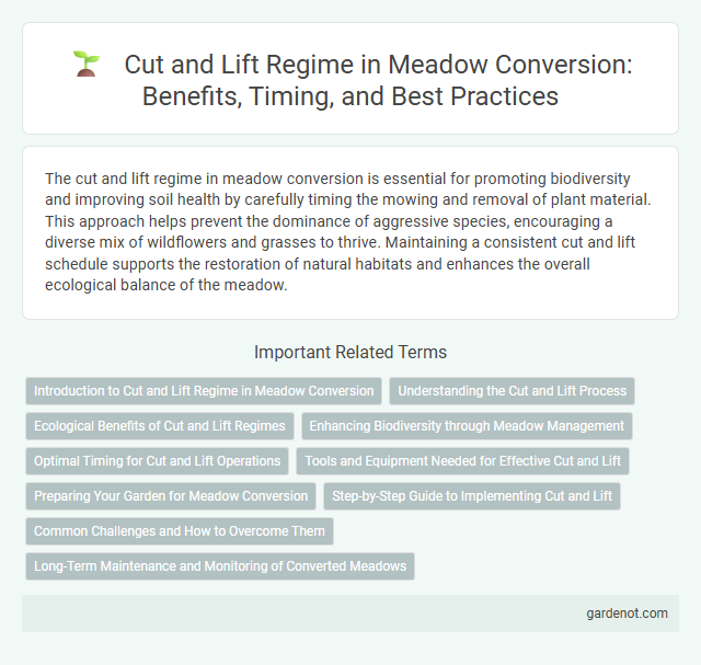 Cut and Lift Regime in Meadow Conversion: Benefits, Timing, and Best Practices