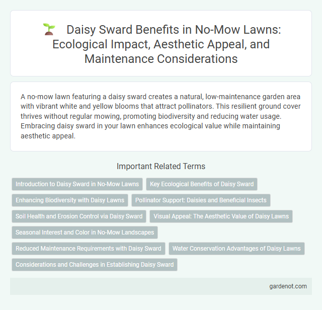 Daisy Sward Benefits in No-Mow Lawns: Ecological Impact, Aesthetic Appeal, and Maintenance Considerations
