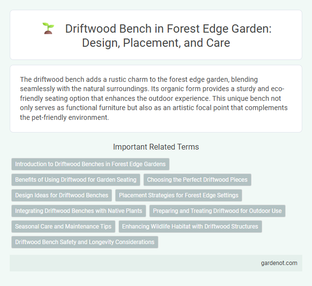 Driftwood Bench in Forest Edge Garden: Design, Placement, and Care