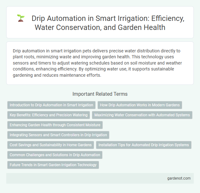 Drip Automation in Smart Irrigation: Efficiency, Water Conservation, and Garden Health