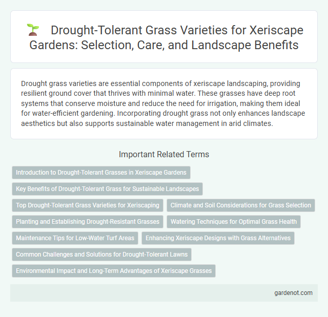 Drought-Tolerant Grass Varieties for Xeriscape Gardens: Selection, Care, and Landscape Benefits