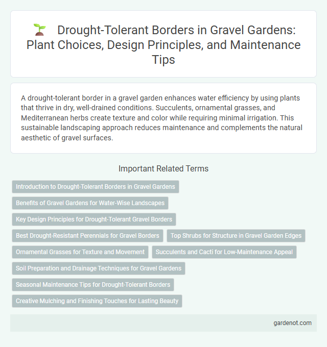 Drought-Tolerant Borders in Gravel Gardens: Plant Choices, Design Principles, and Maintenance Tips