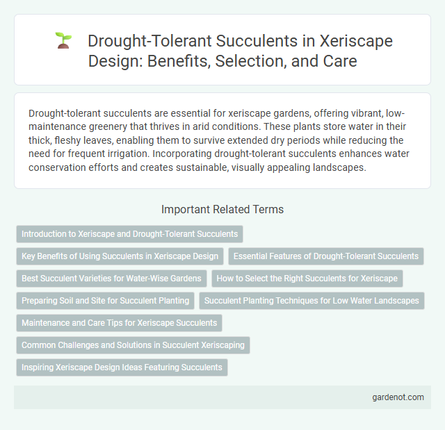 Drought-Tolerant Succulents in Xeriscape Design: Benefits, Selection, and Care