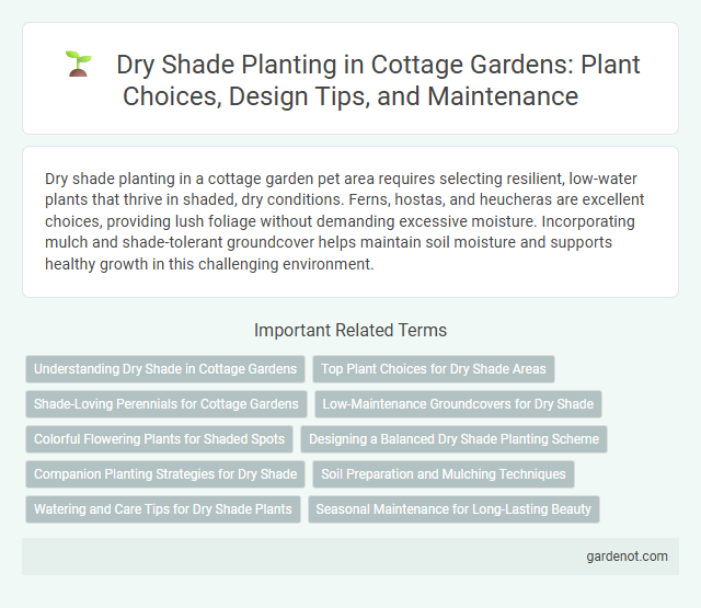 Dry Shade Planting in Cottage Gardens: Plant Choices, Design Tips, and Maintenance