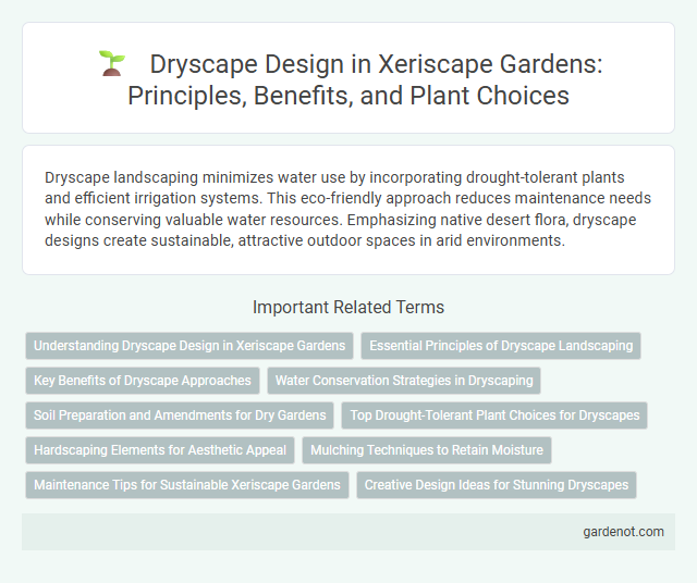 Dryscape Design in Xeriscape Gardens: Principles, Benefits, and Plant Choices