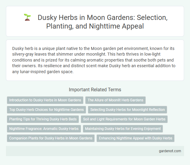 Dusky Herbs in Moon Gardens: Selection, Planting, and Nighttime Appeal