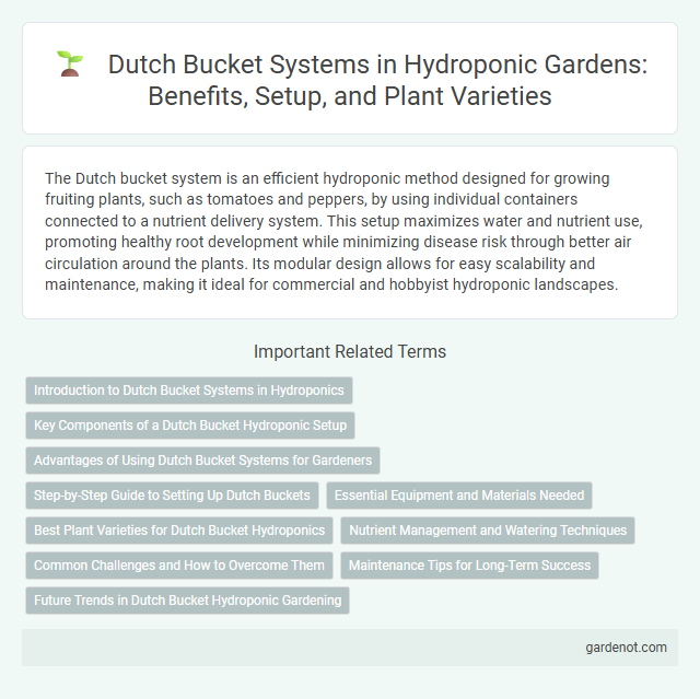Dutch Bucket Systems in Hydroponic Gardens: Benefits, Setup, and Plant Varieties