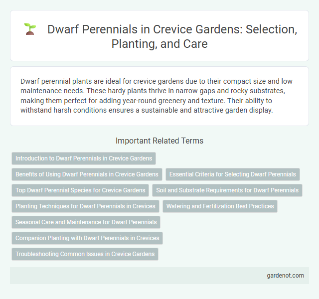 Dwarf Perennials in Crevice Gardens: Selection, Planting, and Care