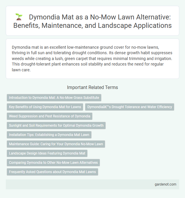 Dymondia Mat as a No-Mow Lawn Alternative: Benefits, Maintenance, and Landscape Applications
