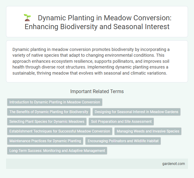 Dynamic Planting in Meadow Conversion: Enhancing Biodiversity and Seasonal Interest