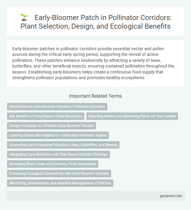 Early-Bloomer Patch in Pollinator Corridors: Plant Selection, Design, and Ecological Benefits