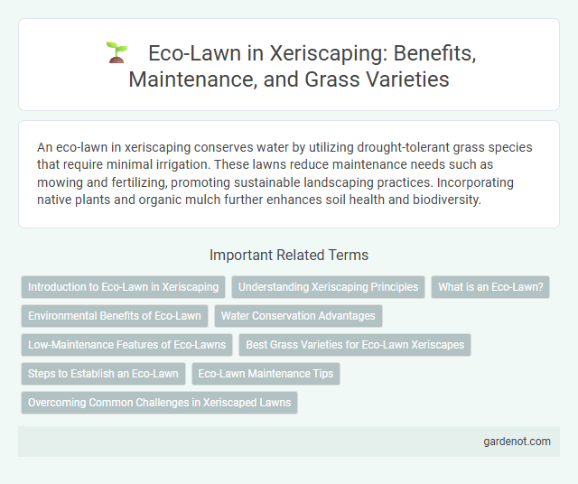 Eco-Lawn in Xeriscaping: Benefits, Maintenance, and Grass Varieties