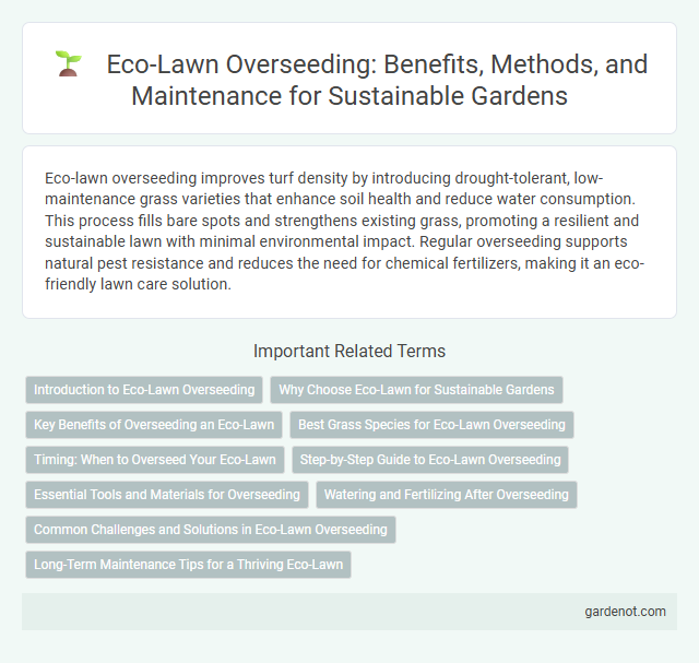 Eco-Lawn Overseeding: Benefits, Methods, and Maintenance for Sustainable Gardens