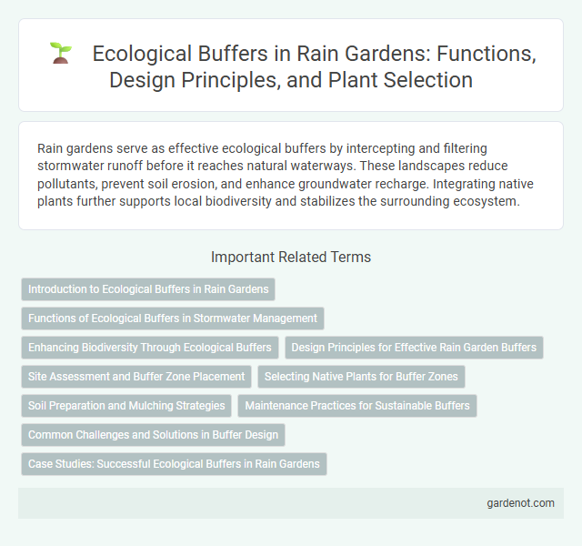 Ecological Buffers in Rain Gardens: Functions, Design Principles, and Plant Selection