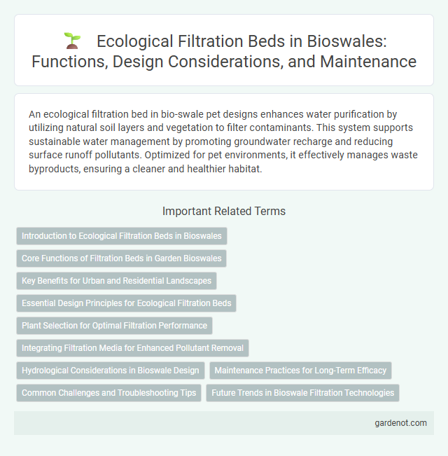 Ecological Filtration Beds in Bioswales: Functions, Design Considerations, and Maintenance