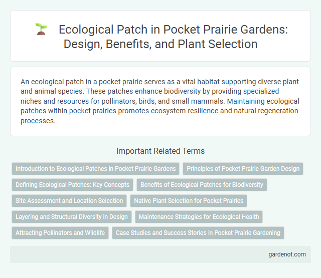 Ecological Patch in Pocket Prairie Gardens: Design, Benefits, and Plant Selection