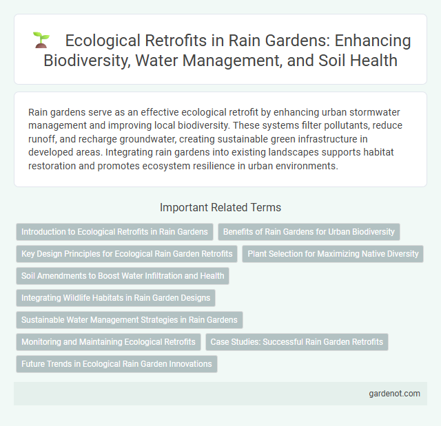 Ecological Retrofits in Rain Gardens: Enhancing Biodiversity, Water Management, and Soil Health
