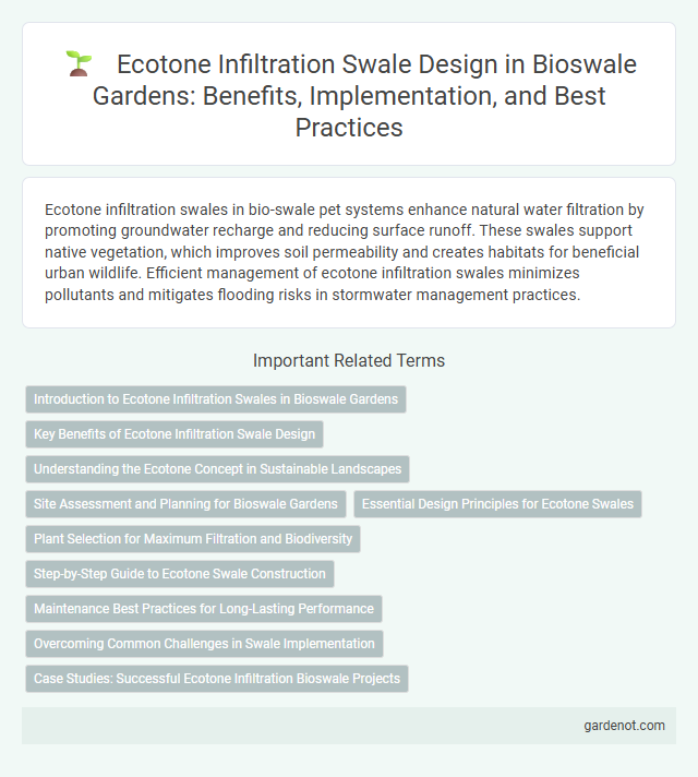 Ecotone Infiltration Swale Design in Bioswale Gardens: Benefits, Implementation, and Best Practices