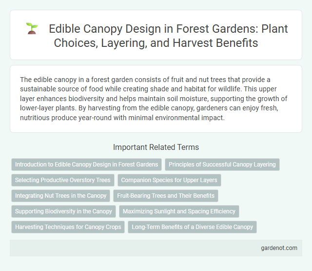 Edible Canopy Design in Forest Gardens: Plant Choices, Layering, and Harvest Benefits
