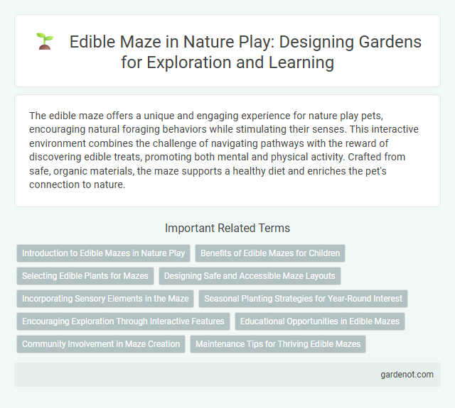 Edible Maze in Nature Play: Designing Gardens for Exploration and Learning