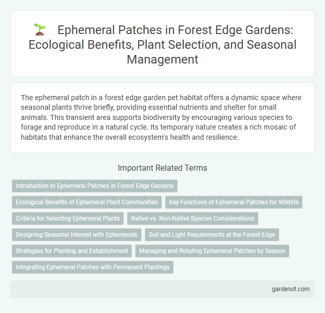 Ephemeral Patches in Forest Edge Gardens: Ecological Benefits, Plant Selection, and Seasonal Management
