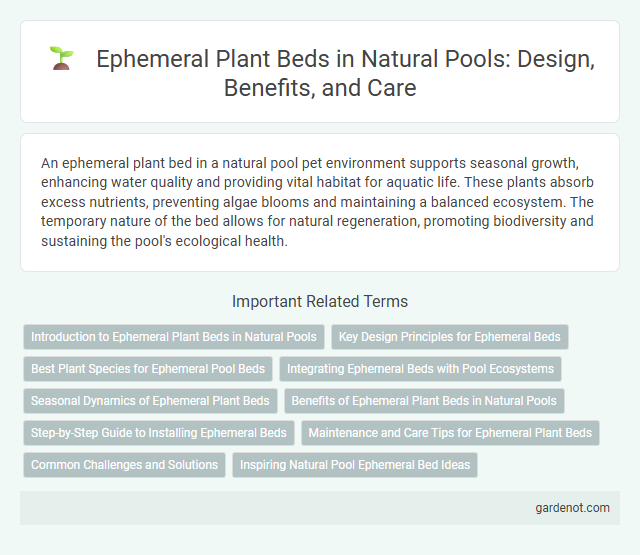 Ephemeral Plant Beds in Natural Pools: Design, Benefits, and Care