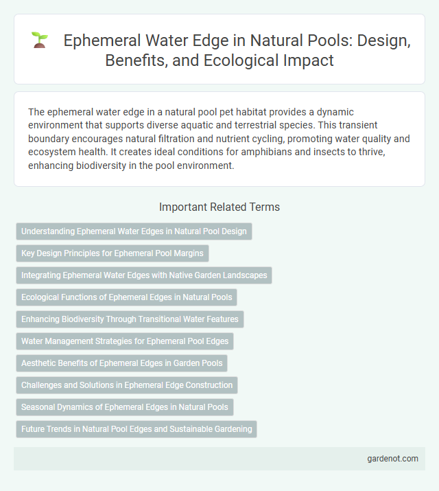Ephemeral Water Edge in Natural Pools: Design, Benefits, and Ecological Impact
