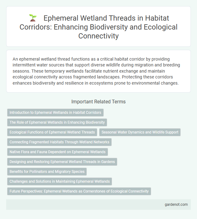 Ephemeral Wetland Threads in Habitat Corridors: Enhancing Biodiversity and Ecological Connectivity