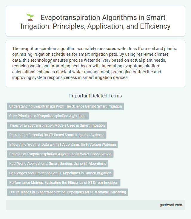 Evapotranspiration Algorithms in Smart Irrigation: Principles, Application, and Efficiency