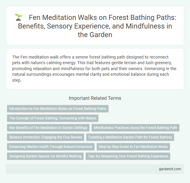Fen Meditation Walks on Forest Bathing Paths: Benefits, Sensory Experience, and Mindfulness in the Garden
