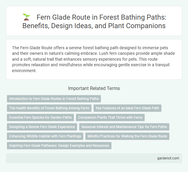 Fern Glade Route in Forest Bathing Paths: Benefits, Design Ideas, and Plant Companions
