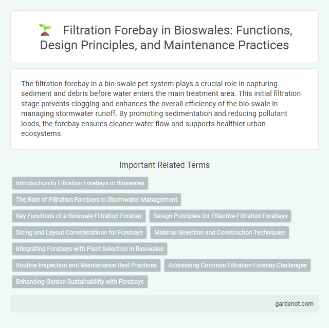Filtration Forebay in Bioswales: Functions, Design Principles, and Maintenance Practices