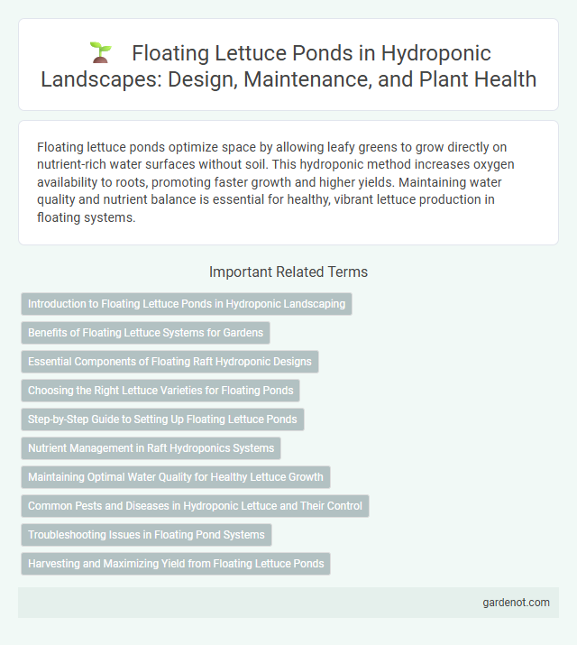 Floating Lettuce Ponds in Hydroponic Landscapes: Design, Maintenance, and Plant Health