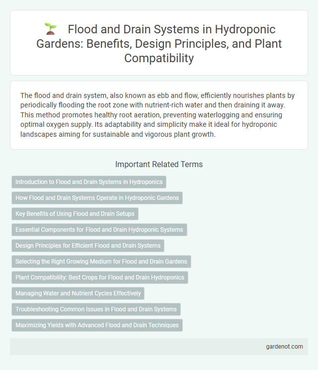 Flood and Drain Systems in Hydroponic Gardens: Benefits, Design Principles, and Plant Compatibility