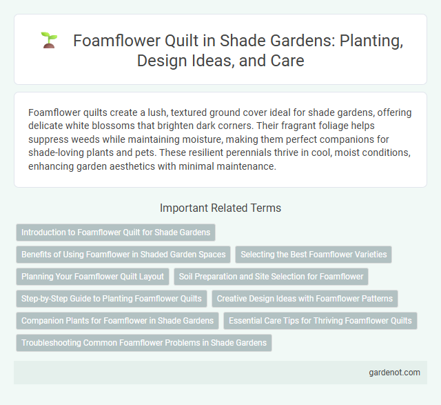 Foamflower Quilt in Shade Gardens: Planting, Design Ideas, and Care