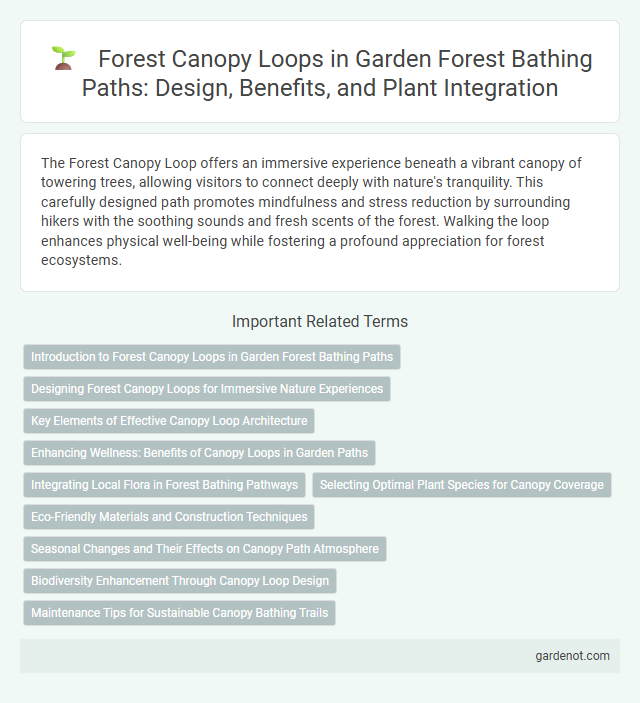 Forest Canopy Loops in Garden Forest Bathing Paths: Design, Benefits, and Plant Integration