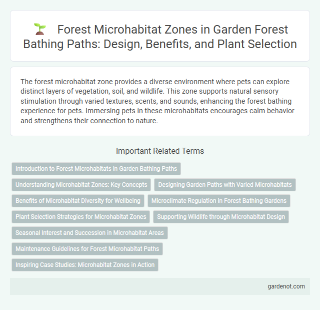Forest Microhabitat Zones in Garden Forest Bathing Paths: Design, Benefits, and Plant Selection