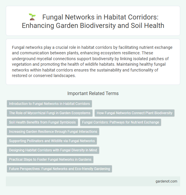 Fungal Networks in Habitat Corridors: Enhancing Garden Biodiversity and Soil Health