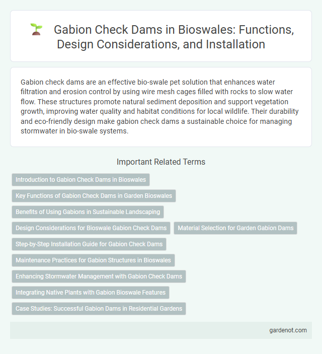 Gabion Check Dams in Bioswales: Functions, Design Considerations, and Installation