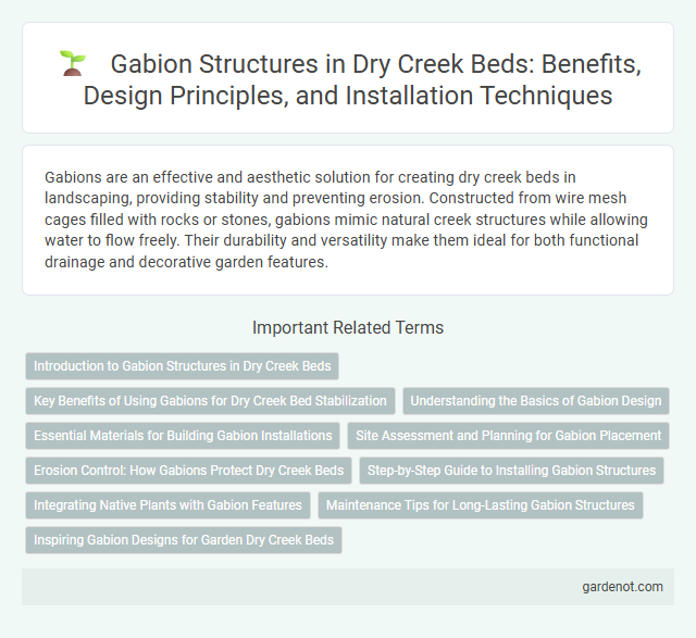 Gabion Structures in Dry Creek Beds: Benefits, Design Principles, and Installation Techniques