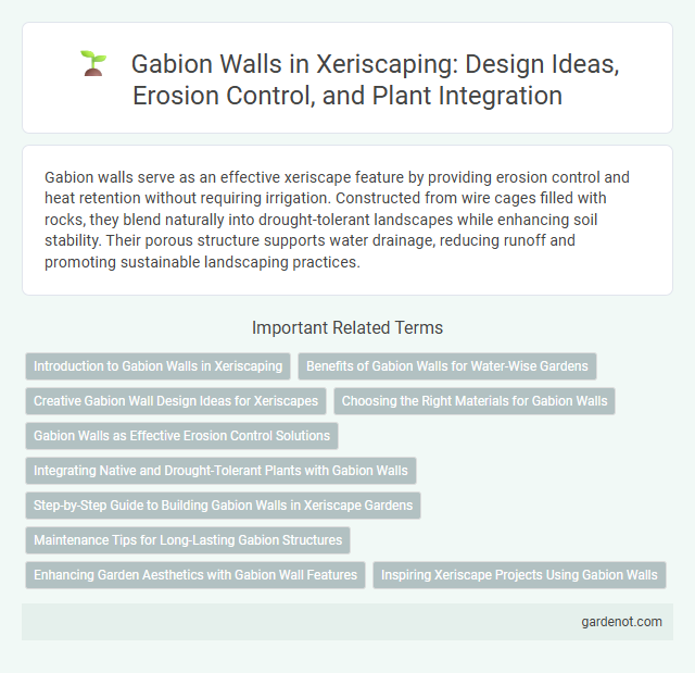 Gabion Walls in Xeriscaping: Design Ideas, Erosion Control, and Plant Integration