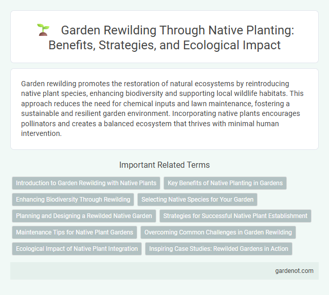 Garden Rewilding Through Native Planting: Benefits, Strategies, and Ecological Impact