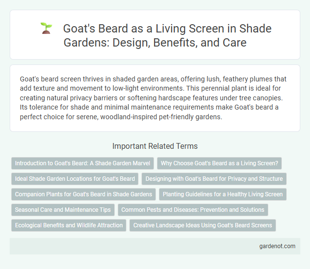 Goat's Beard as a Living Screen in Shade Gardens: Design, Benefits, and Care