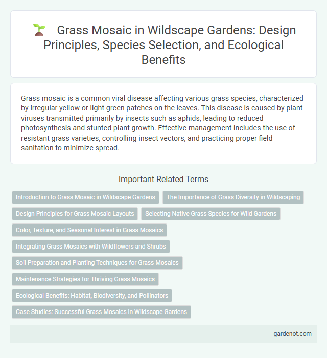 Grass Mosaic in Wildscape Gardens: Design Principles, Species Selection, and Ecological Benefits