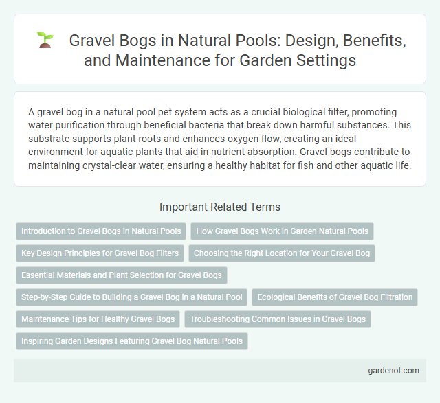 Gravel Bogs in Natural Pools: Design, Benefits, and Maintenance for Garden Settings