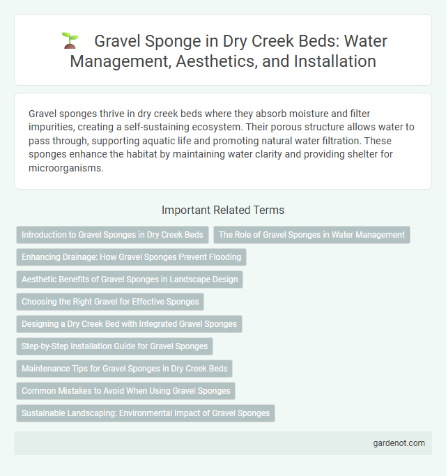 Gravel Sponge in Dry Creek Beds: Water Management, Aesthetics, and Installation