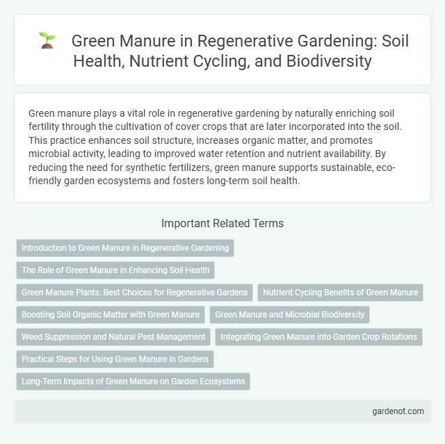 Green Manure in Regenerative Gardening: Soil Health, Nutrient Cycling, and Biodiversity